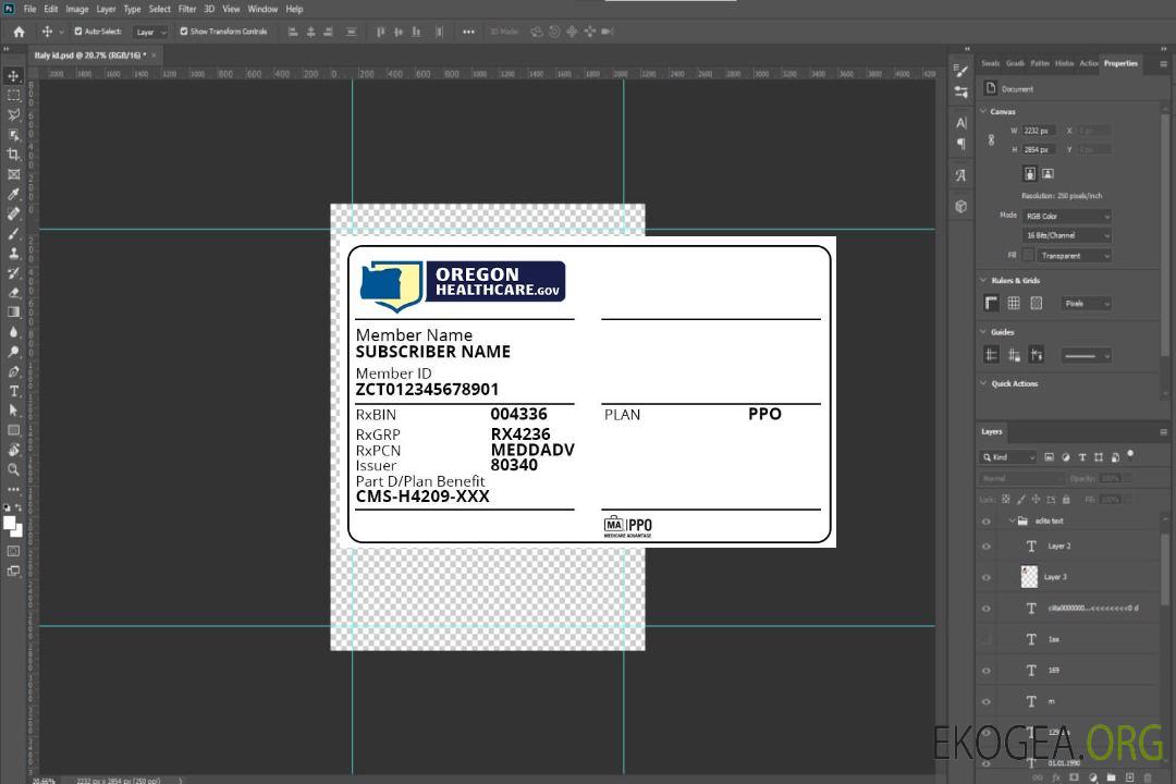 Carte d'assurance maladie de l'Oregon template